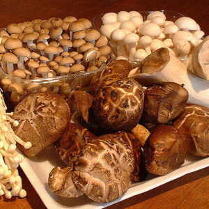 Mushrooms Yeast